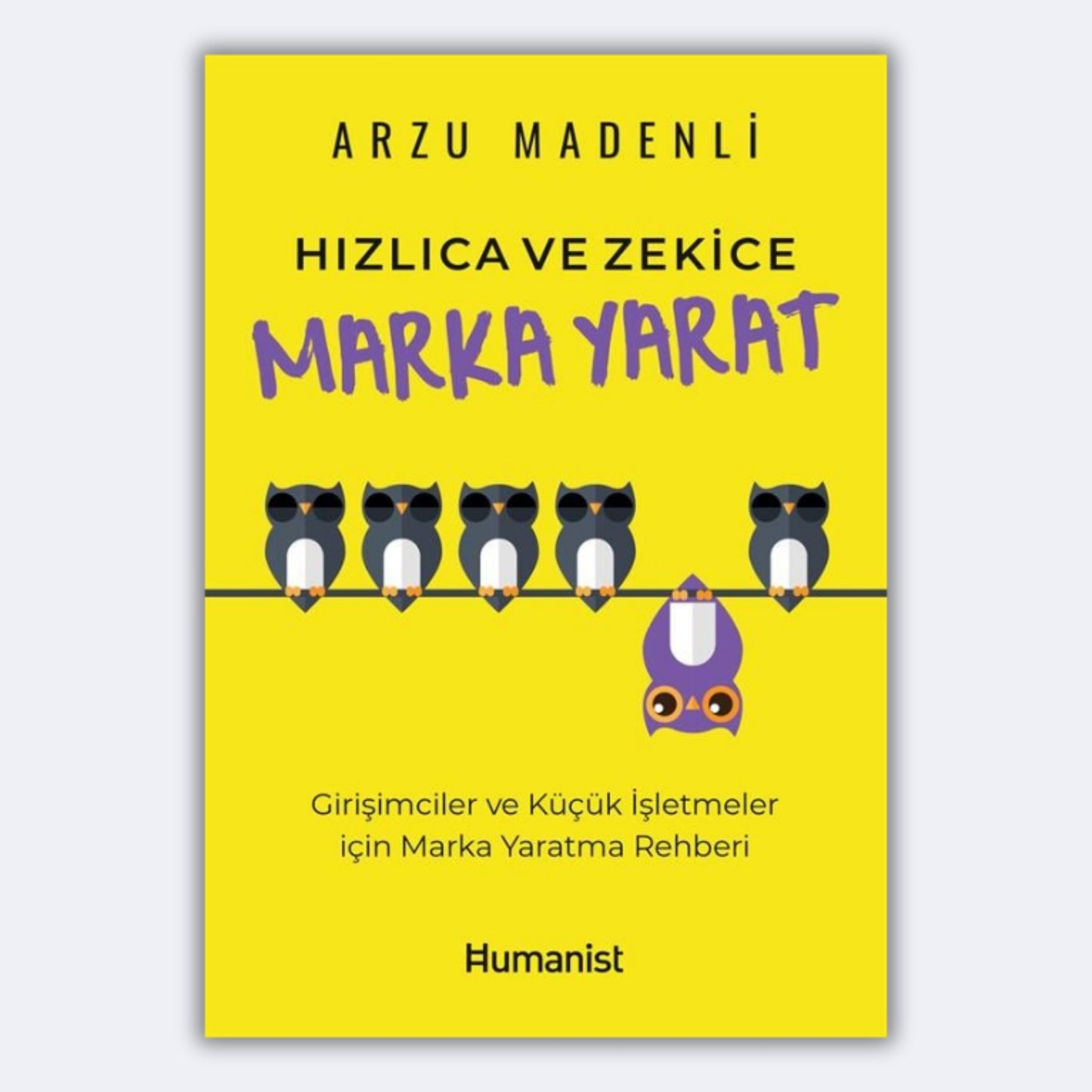 Hızlıca ve Zekice Marka Yarat - Girişimciler ve Küçük İşletmeler için Marka Yaratma Rehberi - Arzu Madenli